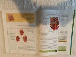 BIOLOGY AND GEOLOGY 3 ESO STUDENT'S BOOK
