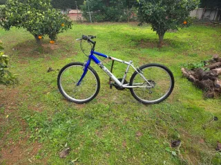 3 Bicicletas Vintage