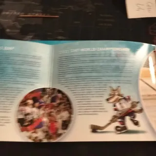 Divisione Slovacchia 2011 IIHF Mondiali Hockey