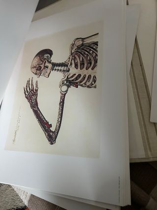 Pauli mascagnii anatomia  universae