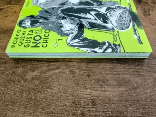 El chico que me gusta no es un chico, vol. 1