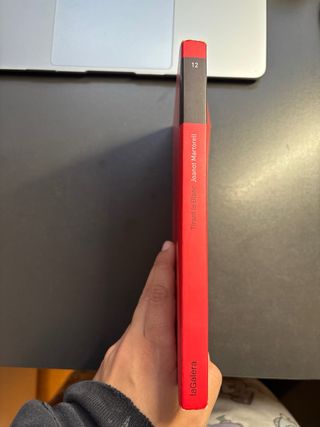 Tirant lo Blanc. Episodis amorosos