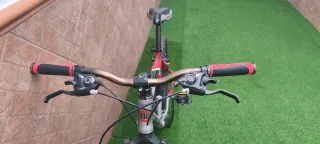 Bicicleta de montaña FELSER