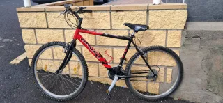 Bicicleta de montaña plateada y roja