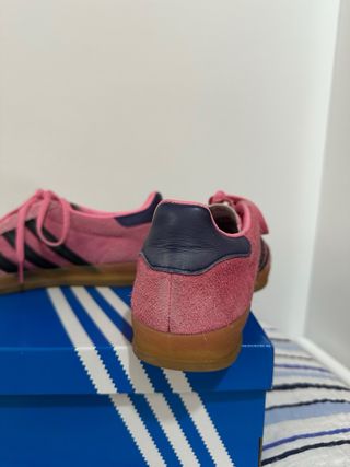 Adidas Gazelle Indoor Rosas