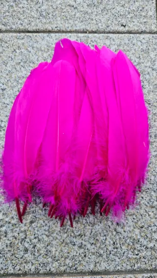 Lote 100 Penas Galo Rosas 15-20cm