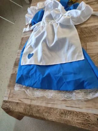 Disfraz Alicia País Maravillas