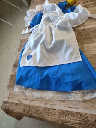 Disfraz Alicia País Maravillas