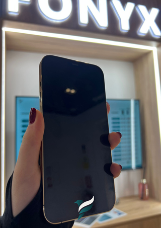 iPhone 12 Pro Max 256GB  Gold