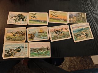 43 Cromos El Hombre y las Fieras