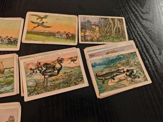 43 Cromos El Hombre y las Fieras