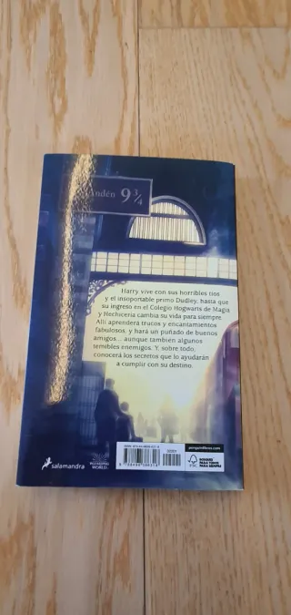 Harry Potter y la piedra filosofal (Harry Potte...