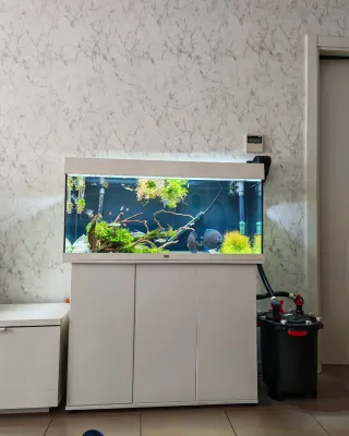 Acuario blanco Juwel Rio 180 led Blanco