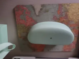 Funda de gafas Tous color verde azulado