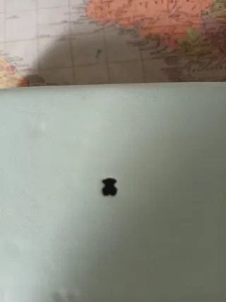 Funda de gafas Tous color verde azulado