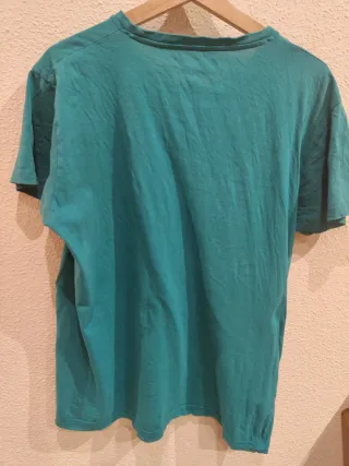 Camiseta Cedar Wood State