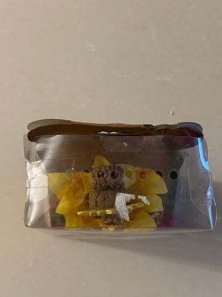 Barbie Pollicina Girasole Mattel 2008