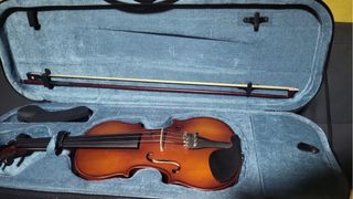 Violín completo con varillas