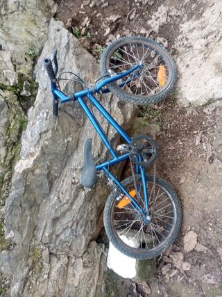 Bicicleta infantil azul