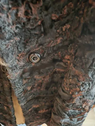 Abrigo entallado de astracán