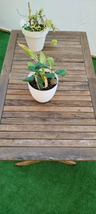 Conjunto mesa y sillas madera acacia CASARIA