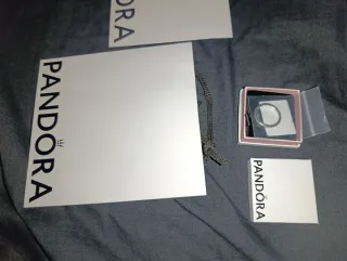 Anillo Pandora Plata