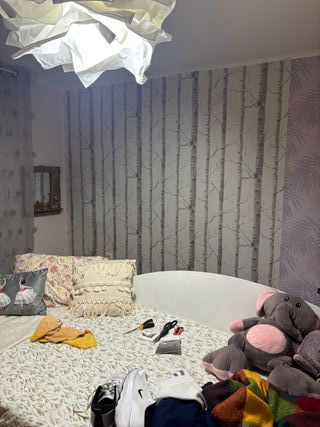 Pintores económicos