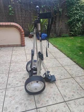 Carro de golf plegable