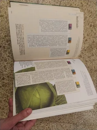 Soluciones Naturales en la Edad de Oro