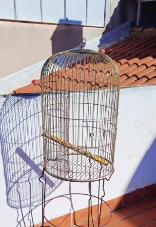Jaula para loros dorada