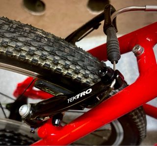 Bicicleta Infantil Frog 55 Roja