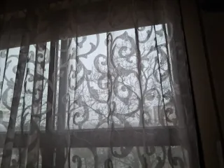 2 pinzas acuario para Oscar