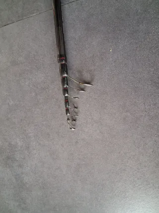 Caña Daiwa Crossfire 3metros Telescópica