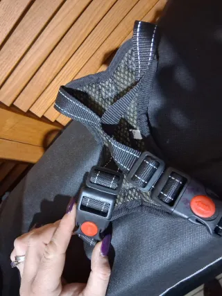 Pettorina per cani nera