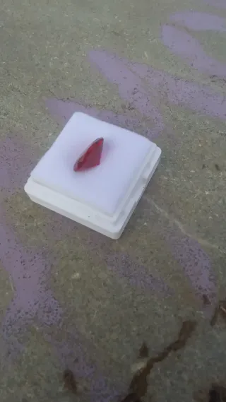 Rubí sangre de paloma ovalado