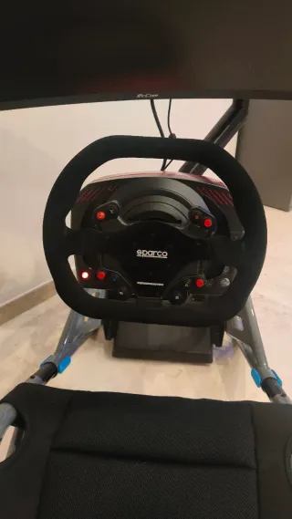 Thrustmaster TS-XW Sparco P310