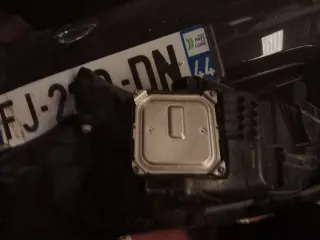 Faro delantero derecho e izquierdo