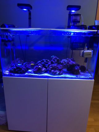 Acuario 200L con mueble