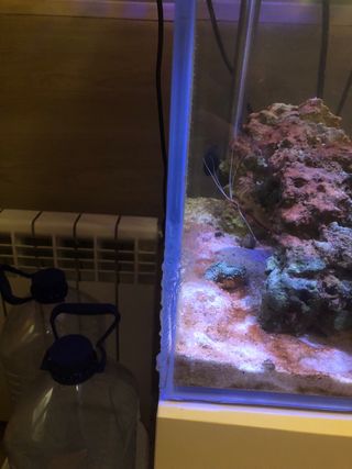 Acuario 200L con mueble