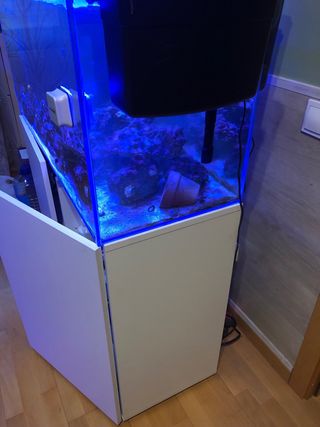 Acuario 200L con mueble