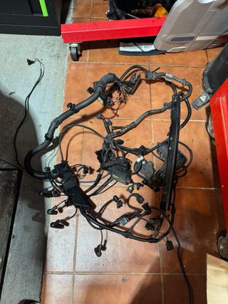 Cableado BMW E46 320d Completo