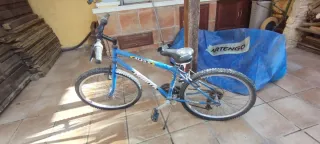 Bicicleta Cadete Azul