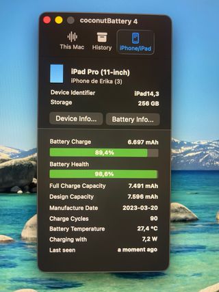 APPLE iPad Pro (2022 4ª gen) 256 GB, Gris espacial