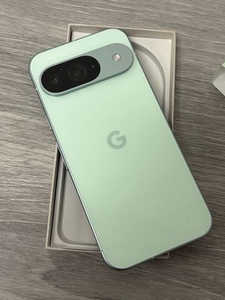 Google Pixel 9 Verde Pastel 256GB