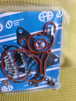 Kit reparación Bomba de Vacío Frenos ERA 559501A