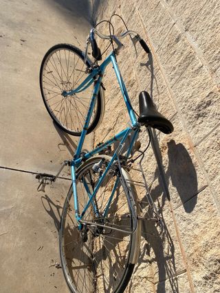 Bicicleta Paseo Azul torrot