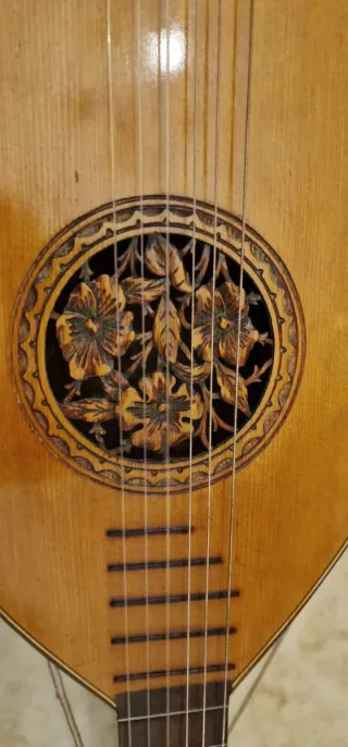 Chitarra Liuto Mandoloncello