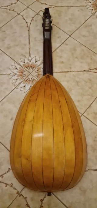 Chitarra Liuto Mandoloncello