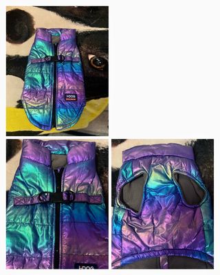 Chaqueta-abrigo colorido para mascota.