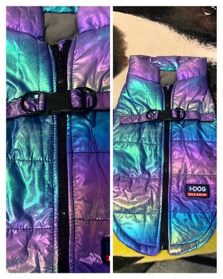 Chaqueta-abrigo colorido para mascota.